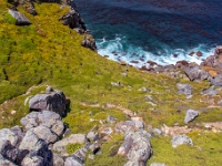 Cape Point Nature Reserve
